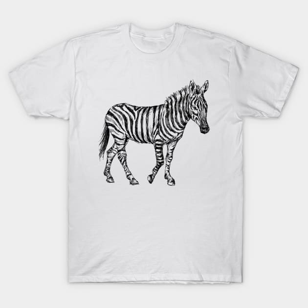 Zebra Print T-Shirt by rachelsfinelines